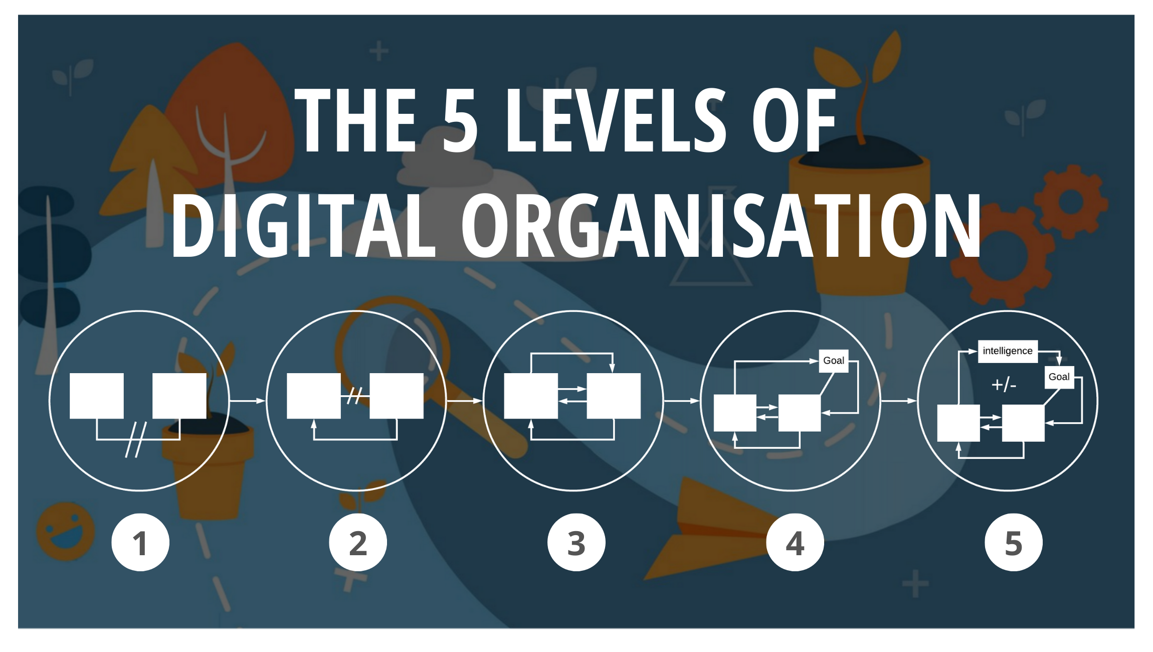 the-5-levels-of-digital-organisation